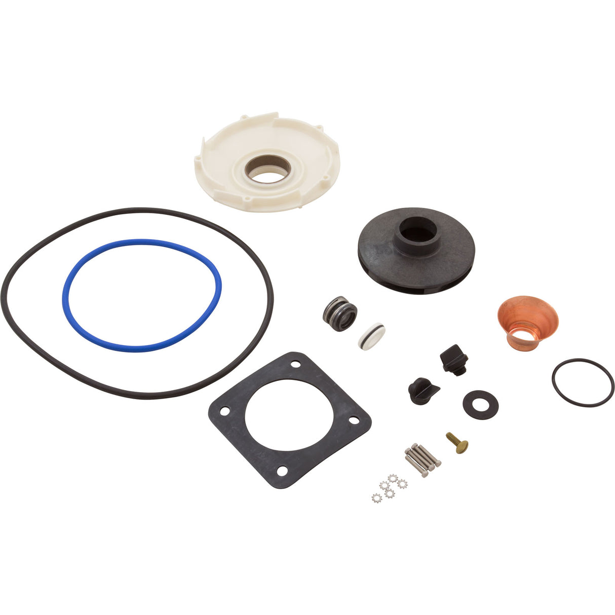 Seal Kit, Pentair/Sta-Rite, DuraGlas/MaxiGlas, 1hp - 1-1/2hp : PP1016 - Pentair - PP1016 - PartsForSpas.com