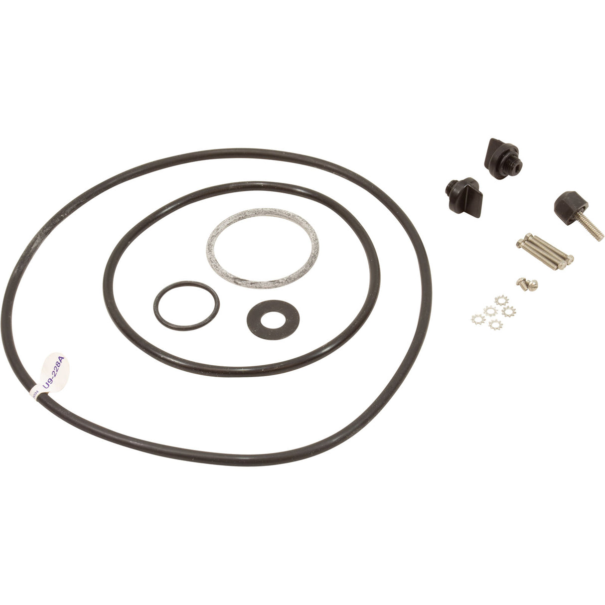 Prts Pak-Overhaul Kit - : PP4012 - Pentair - PP4012 - PartsForSpas.com