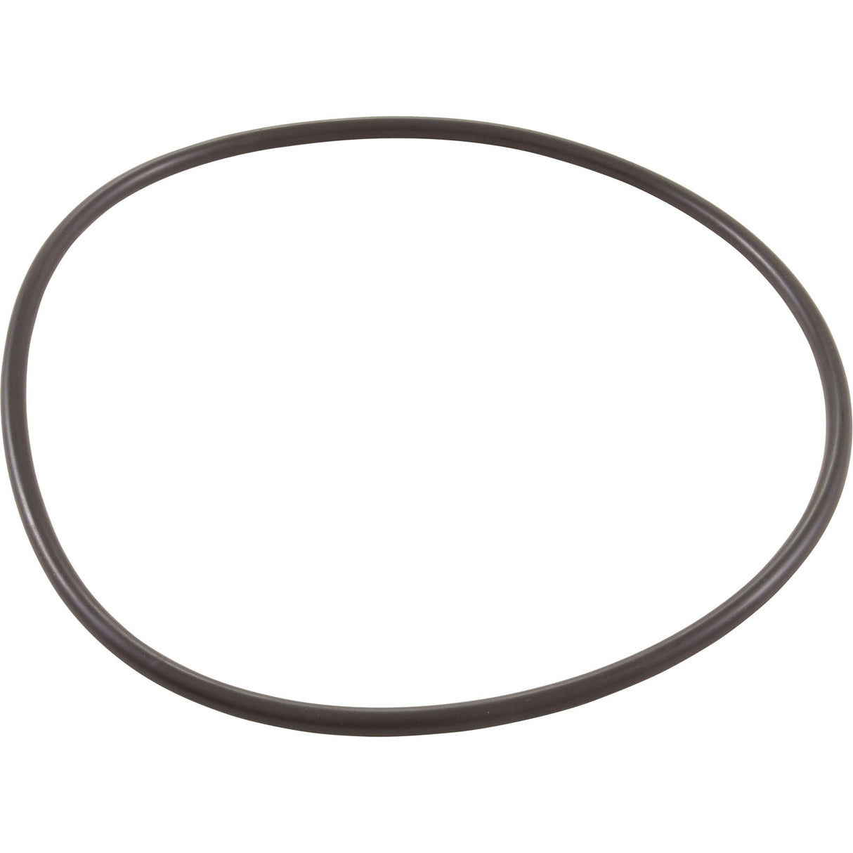 Jandy Pro Series O-Ring, Backplate, 60Hz : R0536600