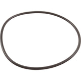 Jandy Pro Series O-Ring, Backplate, 60Hz : R0536600