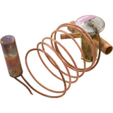 Thermal Expansion Valve, Zodiac, Je2000T/Je2500T : R0575100 - Zodiac - 052337063678 - PartsForSpas.com