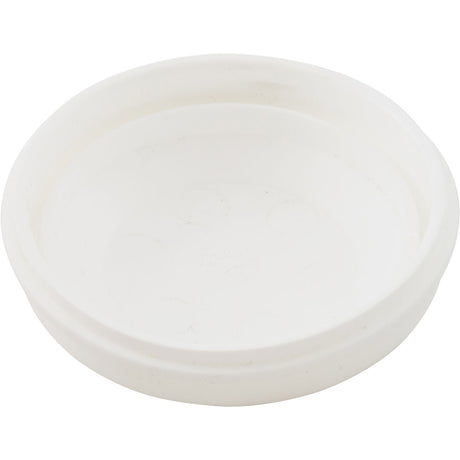 Top Cap 332 Floater : R18902 - Pentair - 788379015237 - PartsForSpas.com