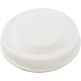 Top Cap 332 Floater : R18902 - Pentair - 788379015237 - PartsForSpas.com