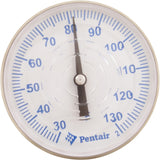 Therm Skmr W/Tube Bshg : SKR - Pentair - 807318013063 - PartsForSpas.com
