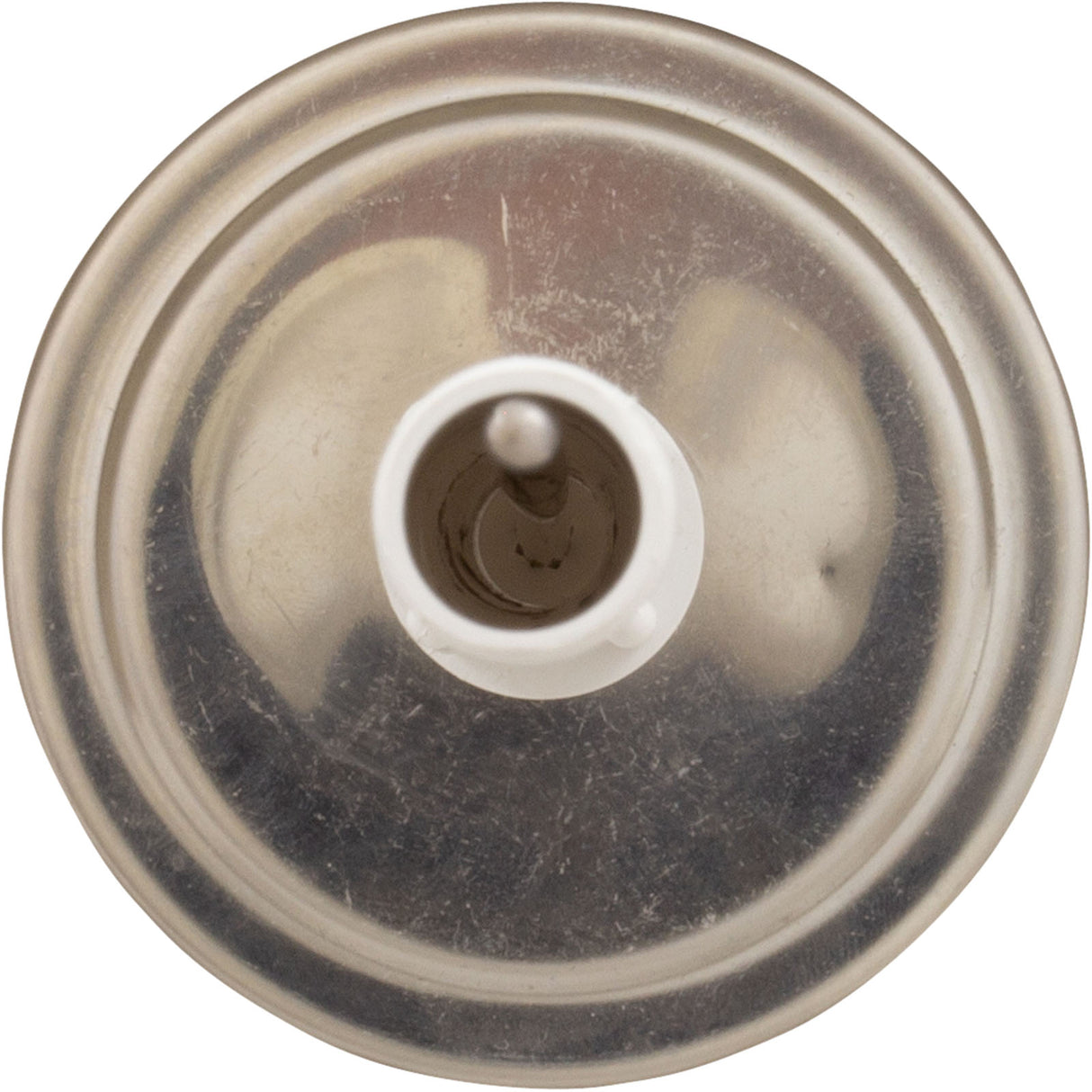 Therm Skmr W/Tube Bshg : SKR - Pentair - 807318013063 - PartsForSpas.com