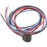 Plug-Compressor, Danfoss 66 In : SMX10024715 - Hayward - SMX10024715 - PartsForSpas.com