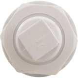 Cycolac Eyebolt Assembly with Winterizing Plug : SP0404 - Hayward - 0610377041669 - PartsForSpas.com