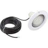 500W/120V Duralite Series 100 Ft Cord : SP0573LN100