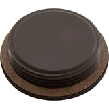 Plug W/Gasket (Black) : SP1022BBLK - Hayward - 0610377762090 - PartsForSpas.com