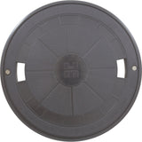 Collar&Cover Assy Dark Gray : SPX1070BADGR - Hayward - 0610377229241 - PartsForSpas.com