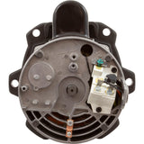 Power End-1Hp, Tristar, Maxrate : SPX3207X10Z1PE - Hayward - 0610377013420 - PartsForSpas.com