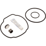 Quick Fix Kit, Tristar Pump : SPXHKIT100 - Hayward - 0610377187893 - PartsForSpas.com
