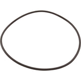 Zodiac Nature2 Professional G / M / A Vessel O-Ring For 1 Pi : W13061