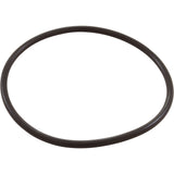 Zodiac Nature2 Pro G Plus Chlorine Chamber O-Ring : W13068