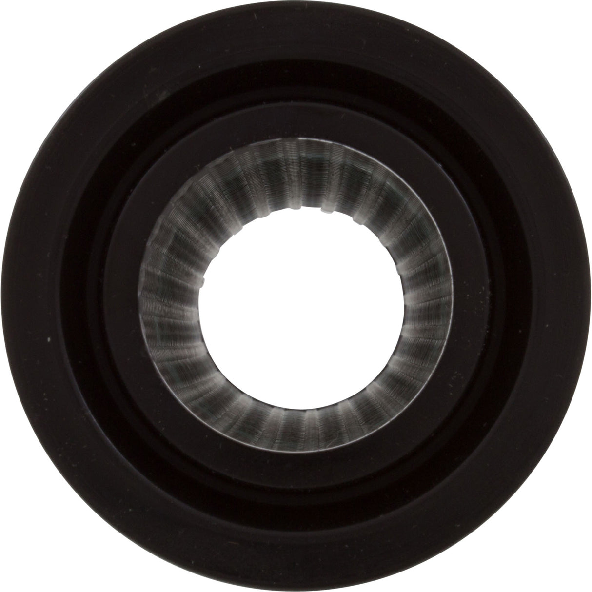 Zodiac Nature2 Swimpure 3", 35K, Single : W22465 - Zodiac - W22465 - PartsForSpas.com