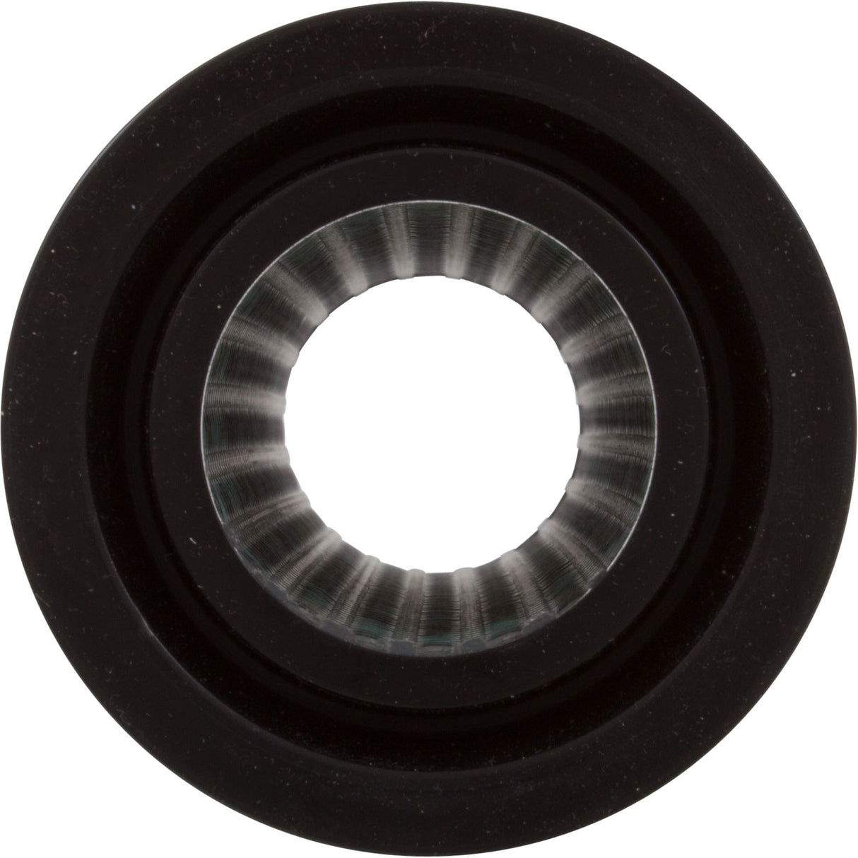 Zodiac Nature2 Swimpure 3", 35K, Single : W22465 - Zodiac - W22465 - PartsForSpas.com