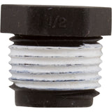 Plug, 1/2" Pipe Taped : WC78-39T