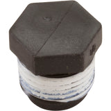 Plug, 1/2" Pipe Taped : WC78-39T