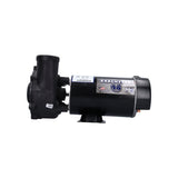 Pump, Waterway Executive 48, 2.0HP, 230V, 10.5/2.6A, 2-Speed, 2"MBT, SD, 48-Frame : 3420820-1A
