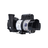 Pump, Waterway Executive 48, 1.0HP, 115V, 11.0/2.9A, 2-Speed, 2"MBT, SD, 48-Frame : 3420410-1A