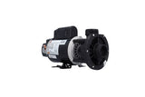 Pump, Waterway "E"-Series, .75HP, 115V, 8.8/2.6A, 2-Speed, 1-1/2"MBT, CD, 48-Frame : 300-1010