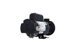 Pump, Waterway "E"-Series, .75HP, 115V, 8.8/2.6A, 2-Speed, 1-1/2"MBT, CD, 48-Frame : 300-1010
