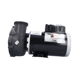 Pump, Waterway Viper, 4.0HP, 230V, 12.0/4.4A, 2-Speed, 2-1/2"MBT, SD, 56-Frame : 3721621-1V