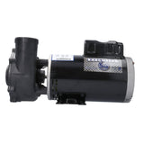 Pump, Waterway Executive 56, 5.0HP, 230V, 16.4/4.8A, 2-Speed, 2"MBT, SD, 56-Frame : 3722021-1D