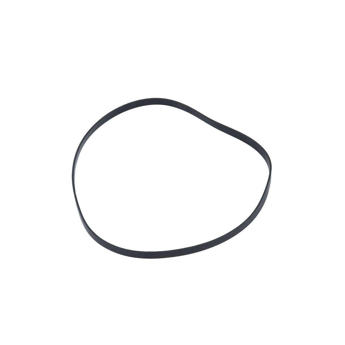 Gasket, Pump Volute, Hayward : SP-1600-T