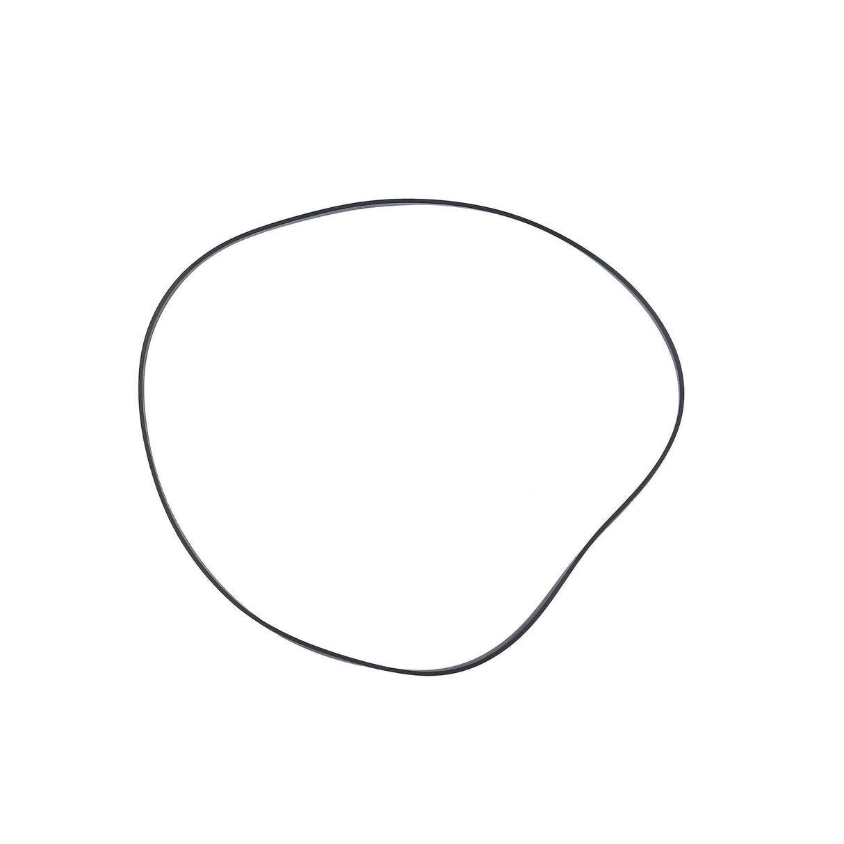 Gasket, Pump Volute, Hayward : SP-1600-T
